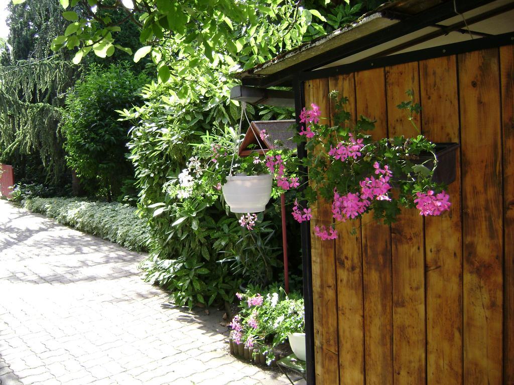 Muskatli Vendeghaz Bed & Breakfast เฮวิซ ภายนอก รูปภาพ